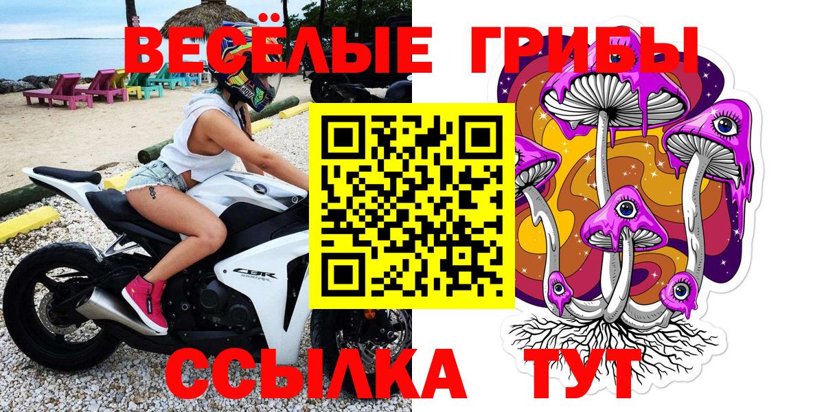 Галлюциногенные грибы ЛСД Новороссийск